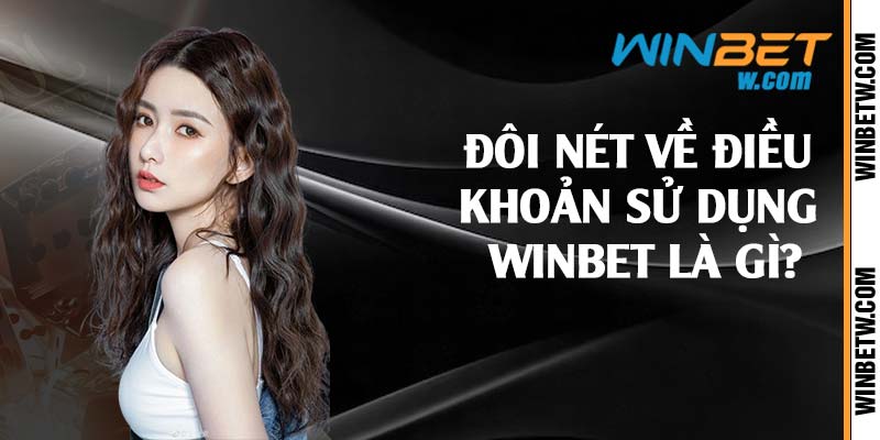 Đôi nét về điều khoản sử dụng Winbet là gì?